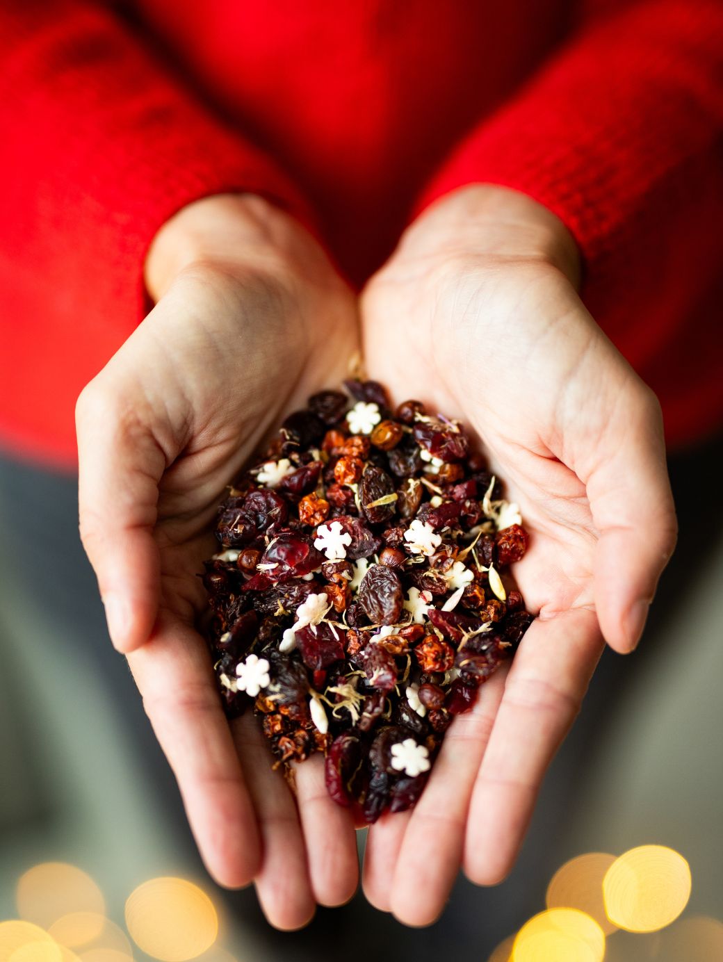 Infusion de fruits canneberge & orange - Féérie d'Hiver 50G - Teatower