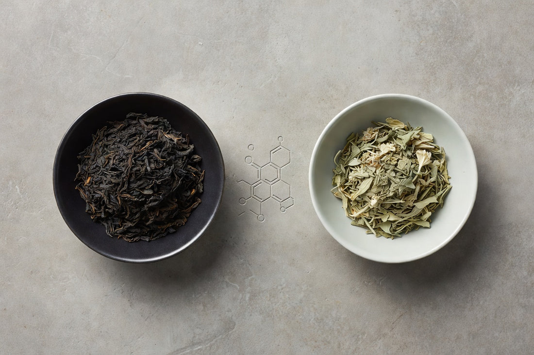 Théine, caféine et thés sans caféine : tout ce que vous devez savoir