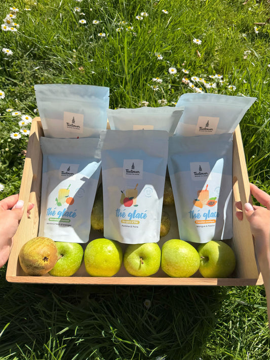 Vergers d'Été — ambiance pomme et poire, infusion glacée Teatower